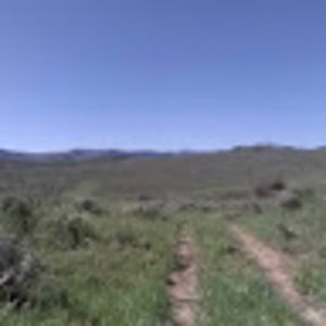 Meet your Posher, Brad